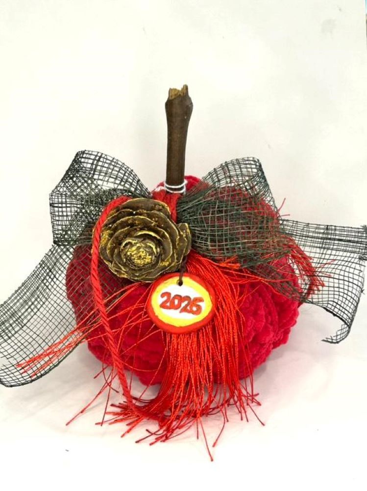 Χειροποίητη Πλεκτή Γούρι–Διακοσμητική Κολοκύθα σε Κόκκινη Απόχρωση (2026)